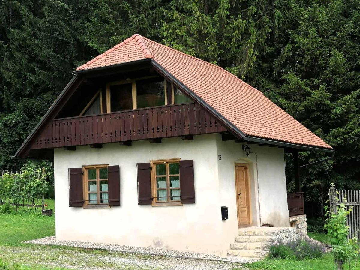 Holiday House Apartment Voukov Mlin Smarje pri Jelsah Exteriör bild